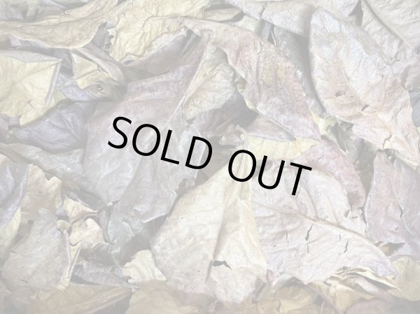 画像3: マジックリーフ 100枚セット (3)