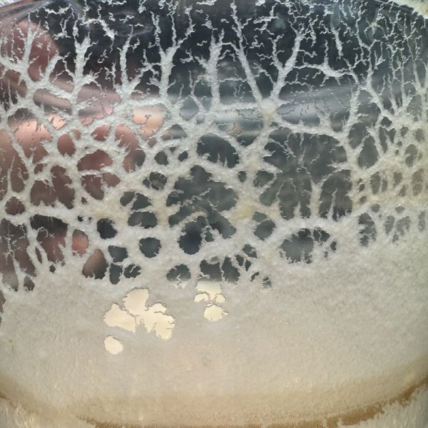 画像5: マイクロワーム　カップ (5)