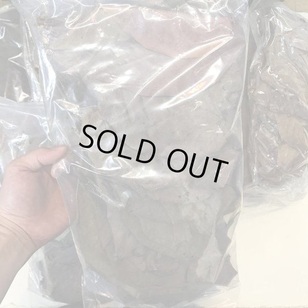 画像2: マジックリーフ 100枚セット (2)